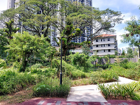 20240418_144722-avenue-south-residence