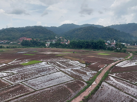 20220528_124903-rice-fields
