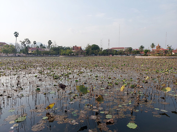 20220117_163310-lotus-pond