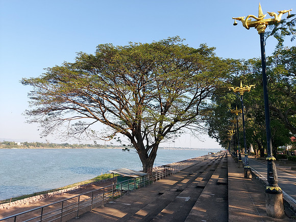 20220226_162855-riverfront-tree