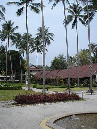 Golden Sand Beach Resort, Lamai, Koh Samui - Thailand.