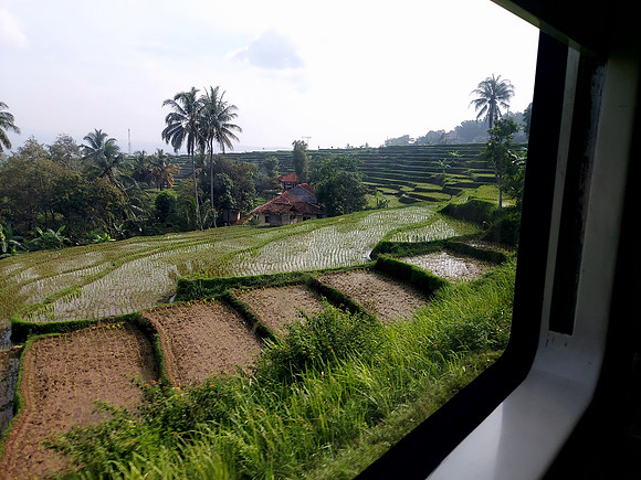 20240429_082920-terraced-ricefields