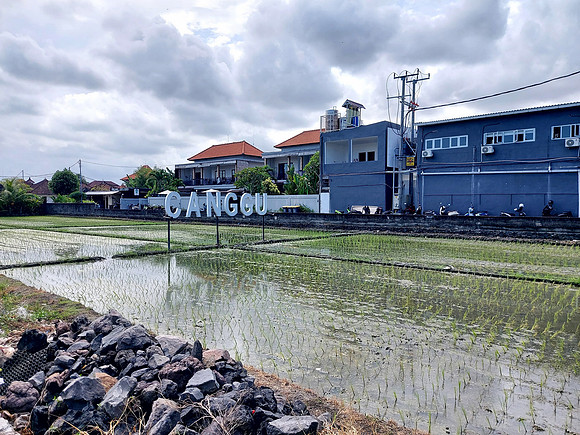 20240509_132155-canggu