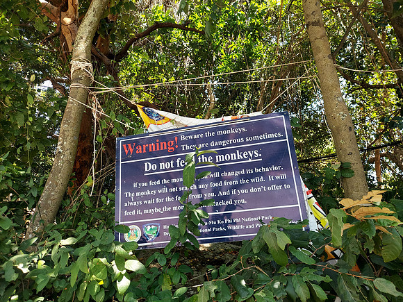 20220129_133702-do-not-feed-monkeys