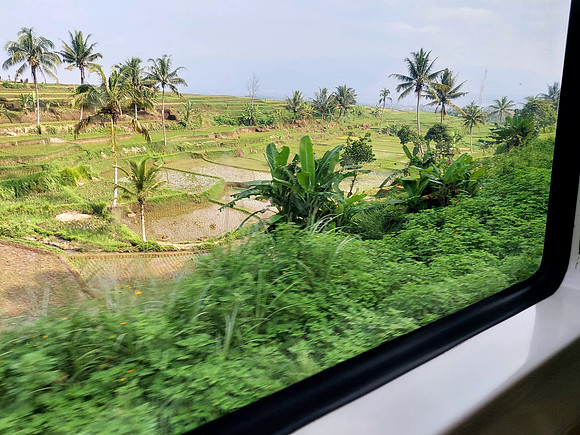 20240429_082945-ricefields