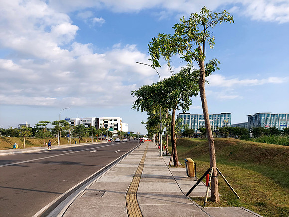 20240512_164127-tree-lined-footpath
