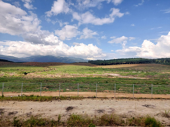 20240413_165013-cleared-palm-oil-land