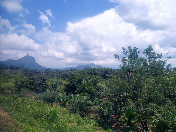 20240422_125849-bukit-jempol