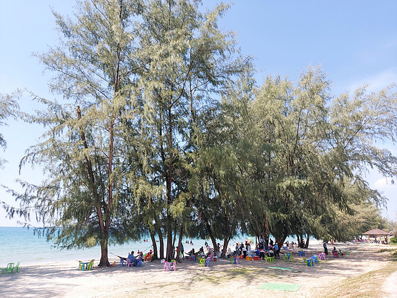 20220108_120533-beach-party