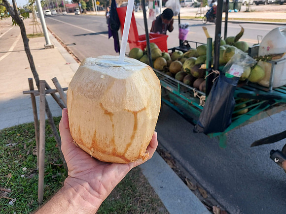 20220106_152741-coconut