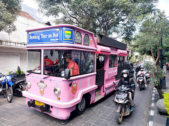 20240428_133928-pink-trolley-bus