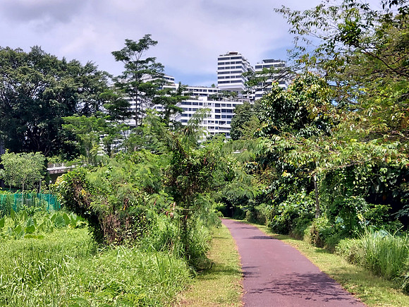 20240418_140423-the-interlace