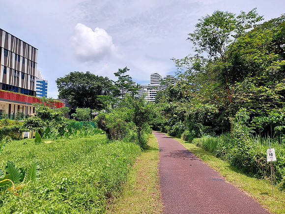 20240418_140425-4-km