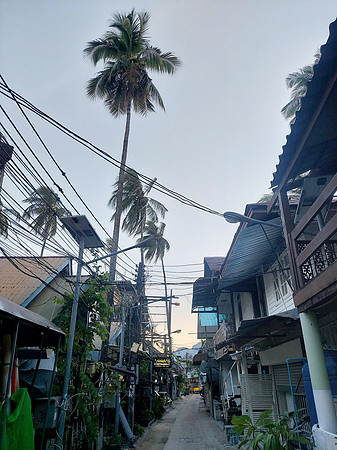 20220129_181225-coconut-street