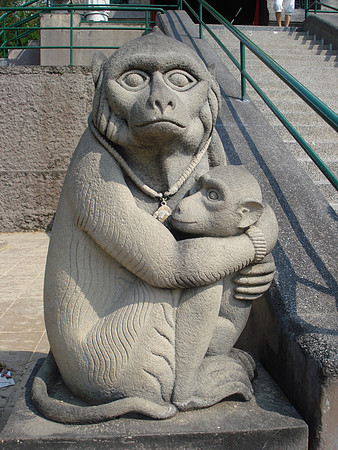 Monkey Mother at Phra Kan Shrine, Lopburi - Thailand.