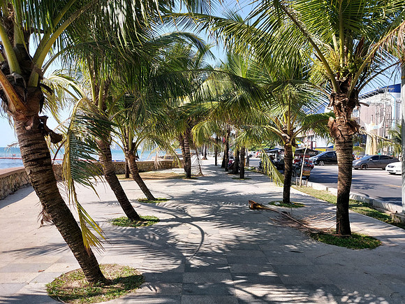 20220108_135907-ochheuteal-beach-tree-walk