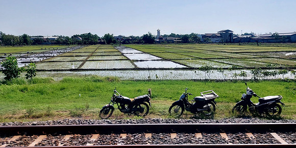 20240502_091010-rice-bikes
