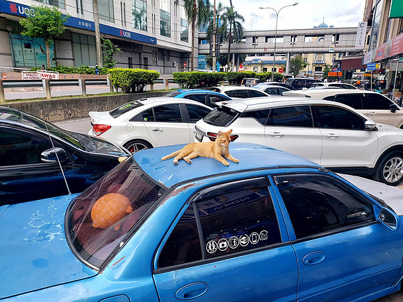 20240415_172723-cars