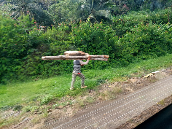 20240429_090634-lumber-man