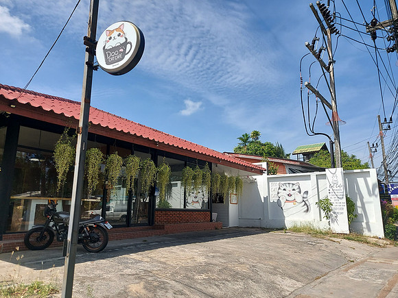 20220126_134922-doo-cat-cafe