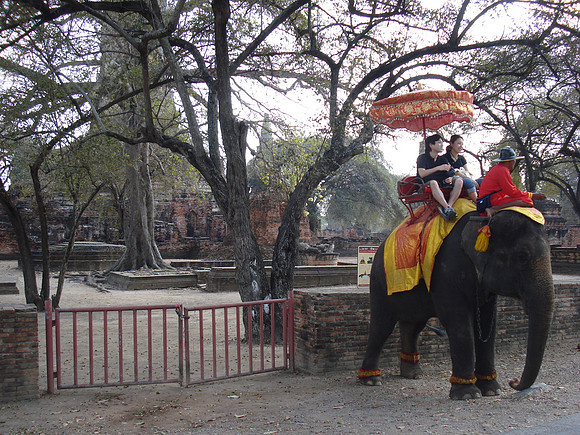 Wat Phra Ram Elephant, Ayuthaya - Thailand.