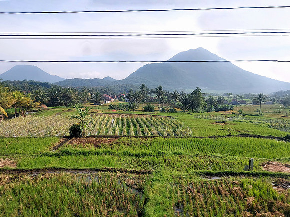 20240429_080836-west-java