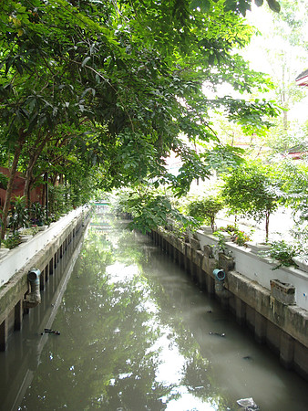 Low Wat Thep Thidaram, Bangkok - Thailand.