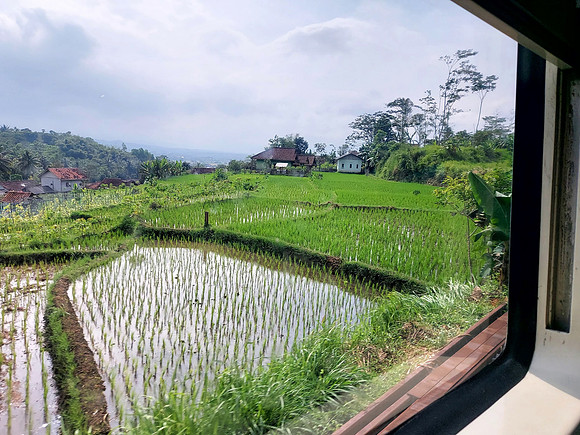 20240429_091043-flooded-rice-terrace