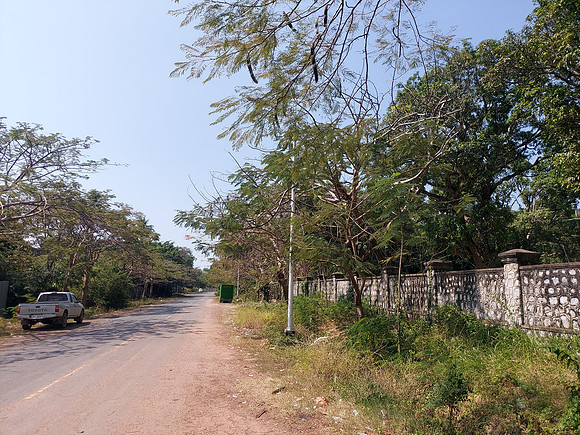 20220118_113120-trees-kep-city