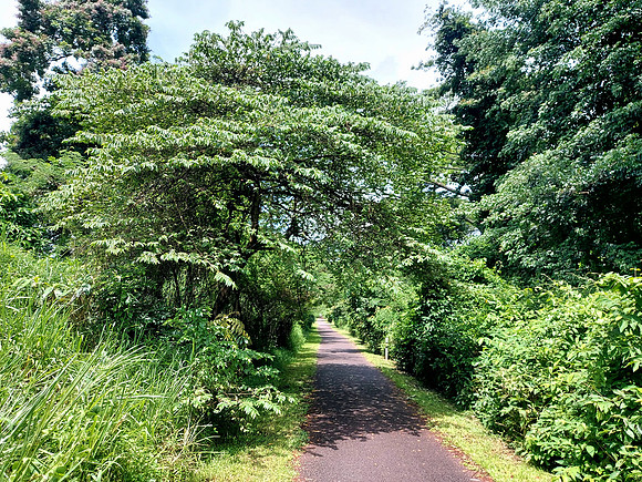 20240418_141051-3-5-km