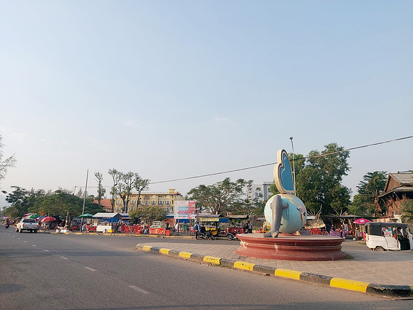 20220117_165136-dolphin-roundabout