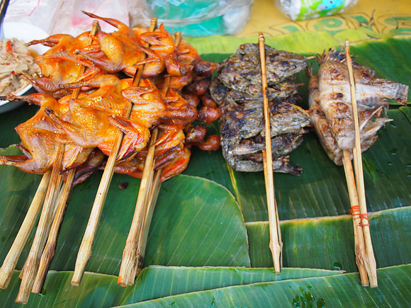 PC069106-meat-on-stick