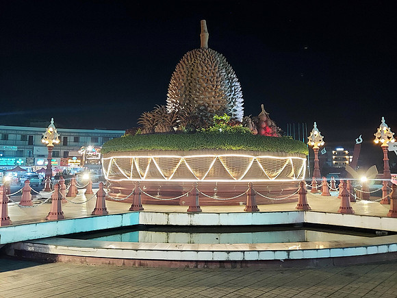 20220112_194821-durian-at-night