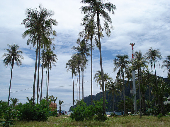 Tsunami Warning Tower, Koh Phi Phi Don - Thailand.