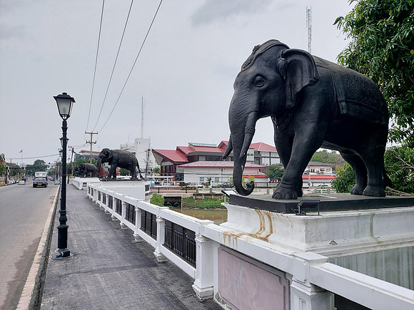 20220308_135921-elephant-bridge