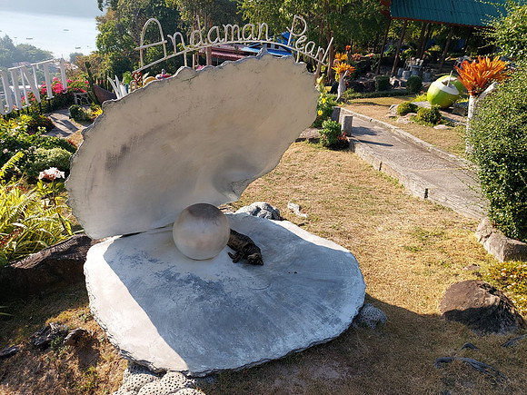 20220129_170416-andaman-pearl